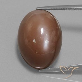 31.30ct Natural Marrom Quente Pedra da Lua, oval, Opaco