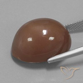 Pedra da Lua Marrom Quente Natural 31.30ct, oval, Opaco