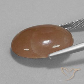 Pedra da Lua Castanho médio Natural 19.57ct, oval, Translúcido