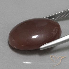 Pedra da Lua Castanho médio Natural 18.53ct, oval, Opaco