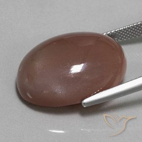 Pedra da Lua Castanho médio Natural 23.37ct, oval, Opaco