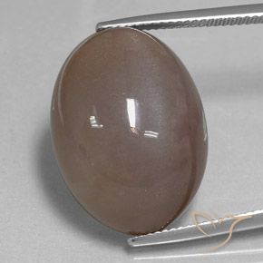 28.97ct Natural Castanho médio Pedra da Lua, oval, Opaco