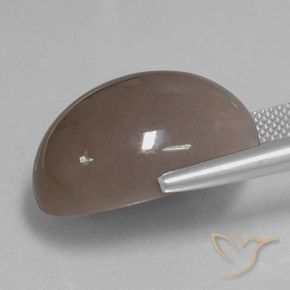 Pedra da Lua Castanho médio Natural 28.97ct, oval, Opaco