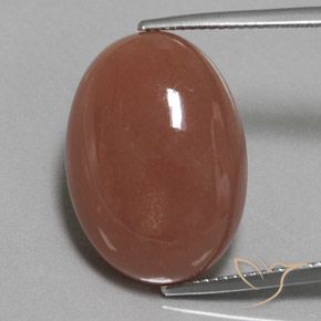 22.59ct Natural Castanho médio Pedra da Lua, oval, Opaco