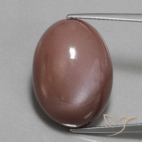 23.55ct Natural Castanho médio Pedra da Lua, oval, Opaco