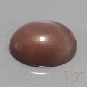 Pedra da Lua Castanho médio Natural 23.55ct, oval, Opaco