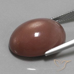Pedra da Lua Castanho médio Natural 23.55ct, oval, Opaco