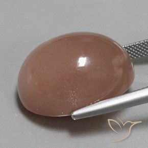 Pedra da Lua Marrom avermelhado Natural 32.50ct, oval, Opaco