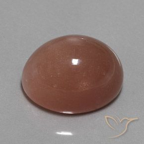 Pedra da Lua Marrom avermelhado Natural 25.10ct, oval, Opaco