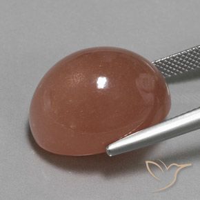 Pedra da Lua Marrom avermelhado Natural 25.10ct, oval, Opaco