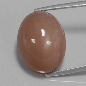 Pedra da lua marrom natural 27,02ct, corte oval, opaco