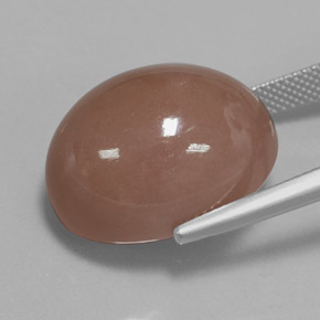 Pedra da lua marrom natural 27,02ct, corte oval, opaco