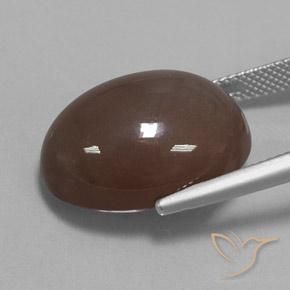 Pedra da Lua Castanho médio Natural 20.93ct, oval, Opaco