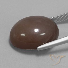 Pedra da Lua Chocolate marrom Natural 21.72ct, oval, Opaco