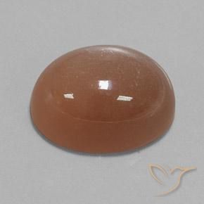 Pedra da Lua Marrom Quente Natural 24.75ct, oval, Opaco