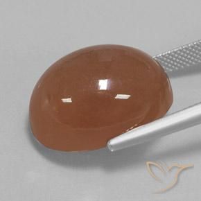 Pedra da Lua Marrom Quente Natural 24.75ct, oval, Opaco