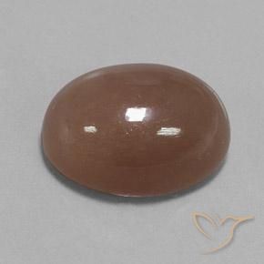 Pedra da Lua Castanho médio Natural 22.75ct, oval, Opaco