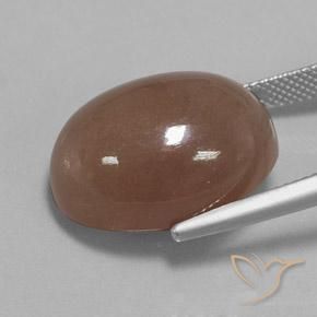 Pedra da Lua Castanho médio Natural 22.75ct, oval, Opaco