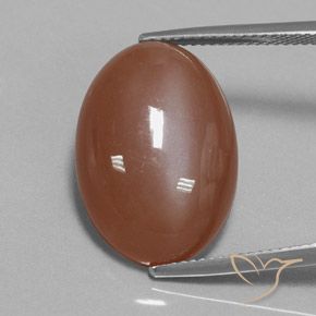 15.54ct Natural Canela Marrom Pedra da Lua, oval, Opaco