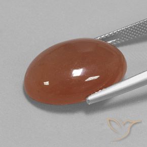 Pedra da Lua Canela Marrom Natural 15.54ct, oval, Opaco