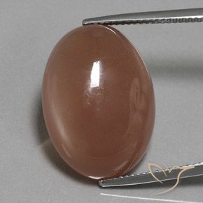 18.61ct Natural Castanho médio Pedra da Lua, oval, Translúcido
