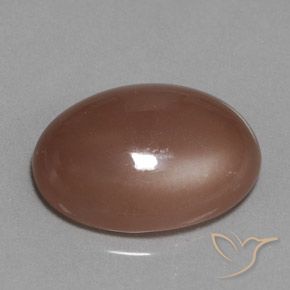 Pedra da Lua Castanho médio Natural 18.61ct, oval, Translúcido