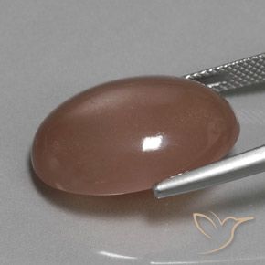 Pedra da Lua Castanho médio Natural 18.61ct, oval, Translúcido