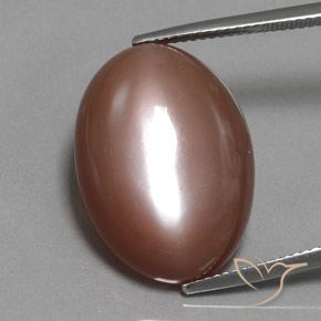 19.77ct Natural Marrom Quente Pedra da Lua, oval, Opaco