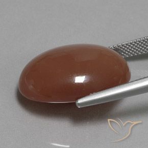 Pedra da Lua Marrom Quente Natural 19.77ct, oval, Opaco