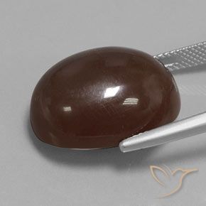 Pedra da Lua Castanho médio Natural 23.33ct, oval, Opaco