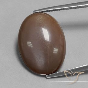 18.80ct Natural Chocolate marrom Pedra da Lua, oval, Translúcido