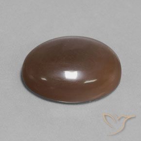 Pedra da Lua Chocolate marrom Natural 18.80ct, oval, Translúcido