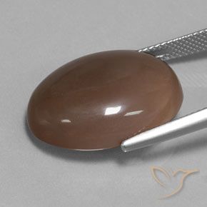 Pedra da Lua Chocolate marrom Natural 18.80ct, oval, Translúcido