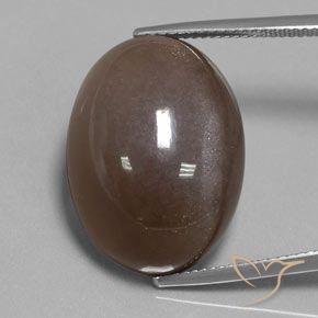 30.12ct Natural Chocolate marrom Pedra da Lua, oval, Opaco
