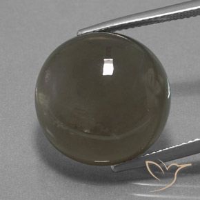 18.40ct Natural Cinza marrom Pedra da Lua, Redondo, Translúcido