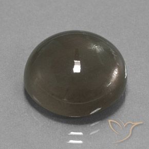 Pedra da Lua Cinza marrom Natural 18.40ct, Redondo, Translúcido