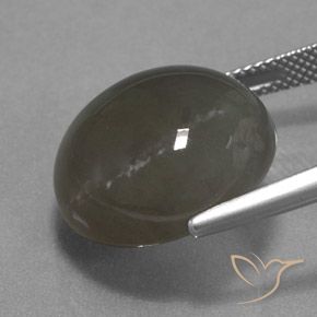 Pedra da Lua Cinza marrom Natural 18.40ct, Redondo, Translúcido