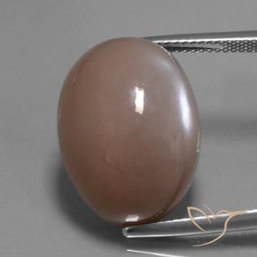 24.60ct Natural Castanho Médio-Claro Pedra da Lua, oval, Translúcido