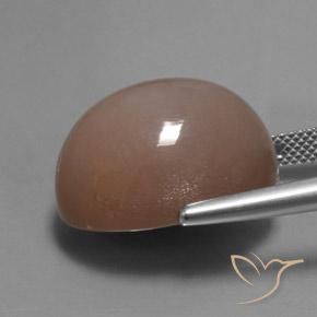 Pedra da Lua Castanho Médio-Claro Natural 24.60ct, oval, Translúcido