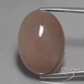 27.83ct Natural Marrom claro Pedra da Lua, oval, Translúcido