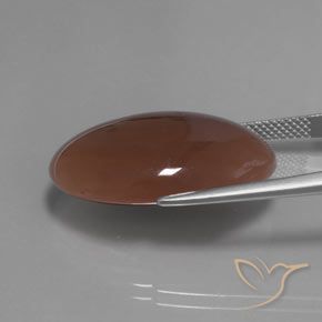 Pedra da Lua Castanho médio Natural 22.04ct, oval, Translúcido