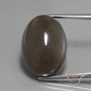 27.12ct Natural Umber Brown Pedra da Lua, oval, Translúcido