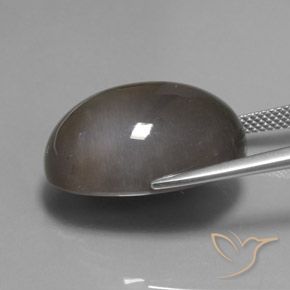 Pedra da Lua Umber Brown Natural 27.12ct, oval, Translúcido
