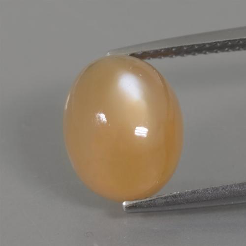 Pedra da lua dourado natural 4,49ct, corte oval, transparente