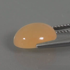Pedra da lua dourado natural 3,70ct, corte oval, transparente