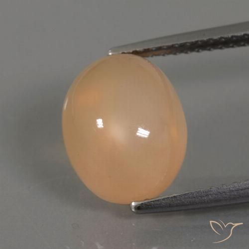 4.41ct Natural Laranja-dourado médio Pedra da Lua, oval, Transparente