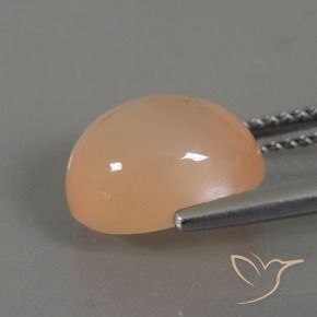 Pedra da Lua Laranja-dourado médio Natural 4.41ct, oval, Transparente