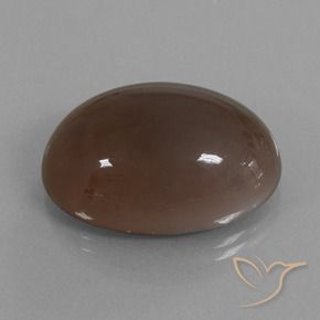 Pedra da lua marrom natural 41,62ct, corte oval, opaco