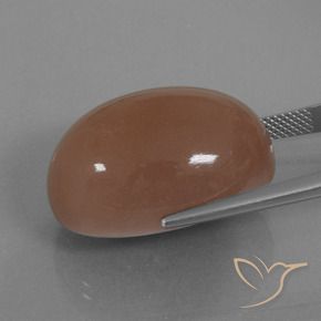 Pedra da Lua Marrom Natural 42.17ct, oval, Opaco