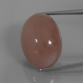 Pedra da lua marrom natural 49,49ct, corte oval, opaco